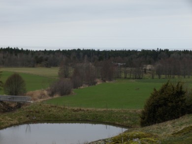 IMGP0319